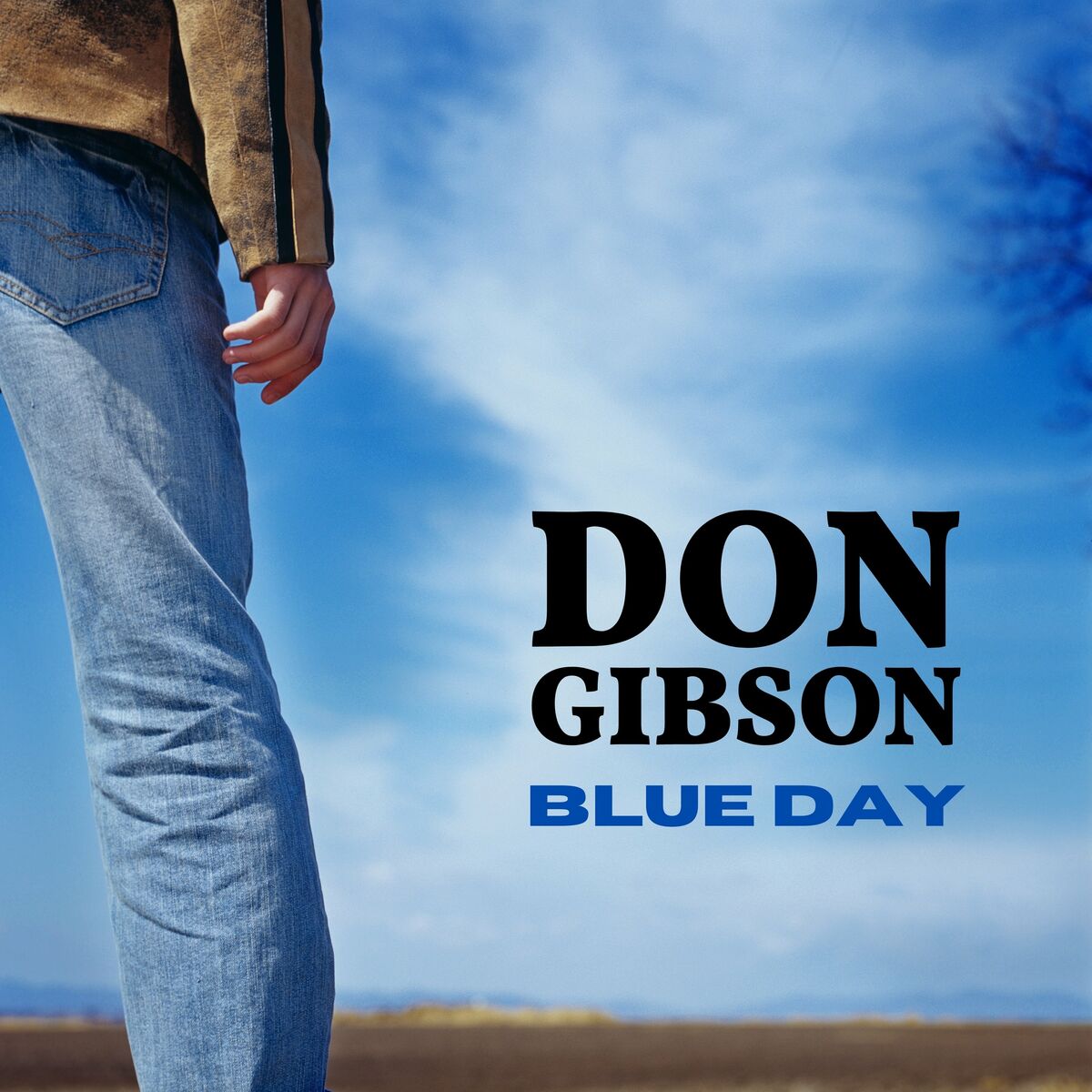Don Gibson